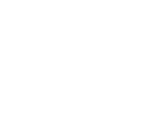 Icarius Aerotechnics